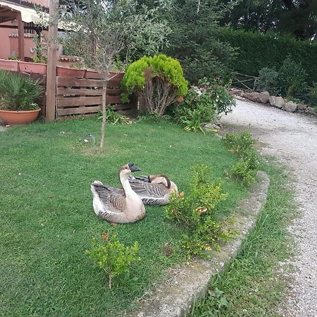 Georgerock Bed & Breakfast Grimaldi  Exterior foto